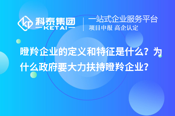 瞪羚企业的定义和特征是什么？为什么政府要大力扶持瞪羚企业？