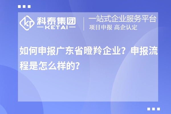 如何申报广东省瞪羚企业？申报流程是怎么样的？