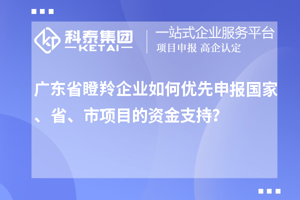 广东省瞪羚企业如何优先申报国家、省、市项目的资金支持？