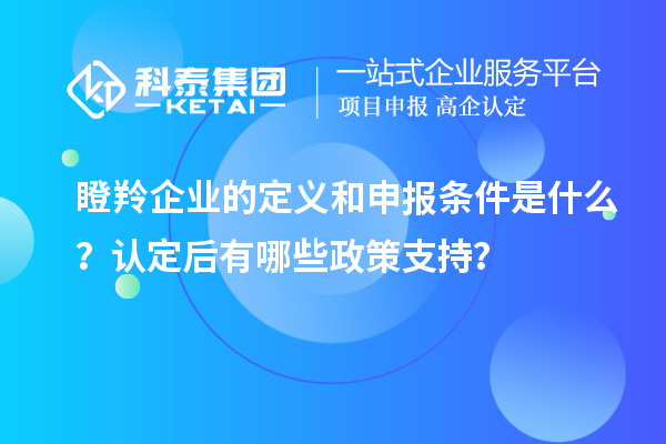 瞪羚企业的定义和申报条件是什么？认定后有哪些政策支持？
