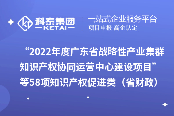 “2022年度广东省战略性产业集群知识产权协同运营中心建设项目”等58项知识产权促进类(省财政)项目验收结果