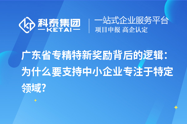 广东省专精特新奖励背后的逻辑:为什么要支持中小企业专注于特定领域?