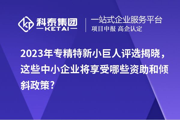2023年专精特新小巨人评选揭晓，这些中小企业将享受哪些资助和倾斜政策?