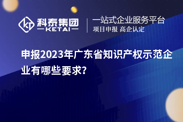 申报2023年广东省知识产权示范企业有哪些要求？