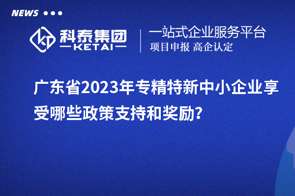 广东省2023年专精特新中小企业享受哪些政策支持和奖励？