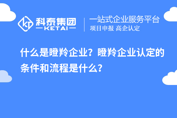 什么是瞪羚企业？瞪羚企业认定的条件和流程是什么？