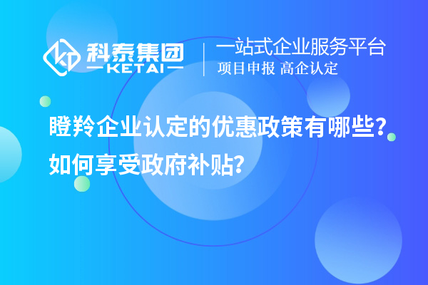瞪羚企业认定的优惠政策有哪些？如何享受政府补贴？