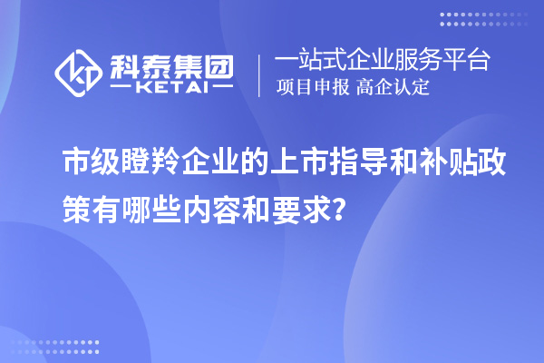 市级瞪羚企业的上市指导和补贴政策有哪些内容和要求？