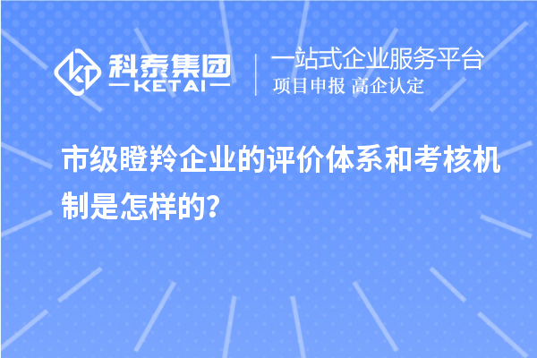 市级瞪羚企业的评价体系和考核机制是怎样的？