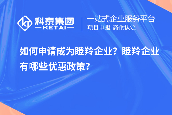 如何申请成为瞪羚企业？瞪羚企业有哪些优惠政策？