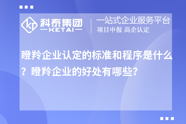 瞪羚企业认定的标准和程序是什么？瞪羚企业的好处有哪些？