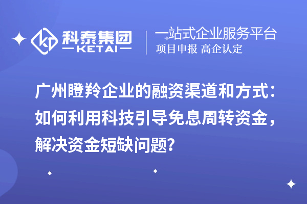 广州瞪羚企业的融资渠道和方式：如何利用科技引导免息周转资金，解决资金短缺问题？