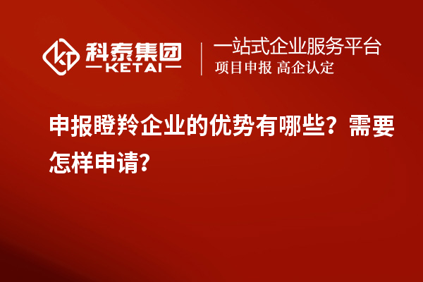 申报瞪羚企业的优势有哪些？需要怎样申请？