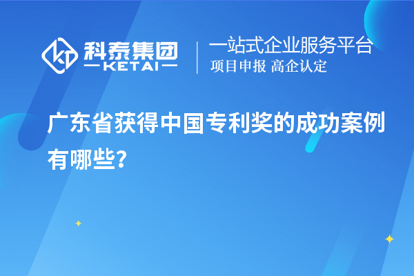 广东省获得中国专利奖的成功案例有哪些？