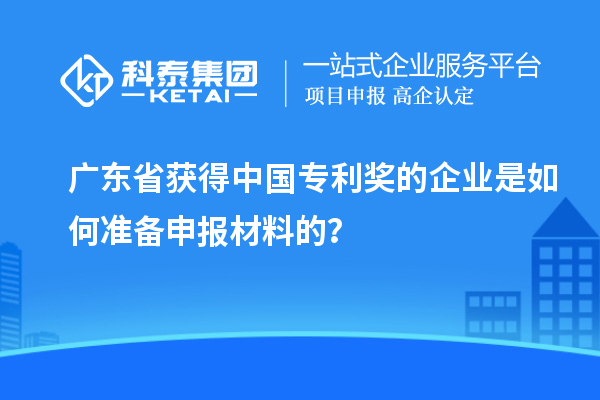 广东省获得中国专利奖的企业是如何准备申报材料的？