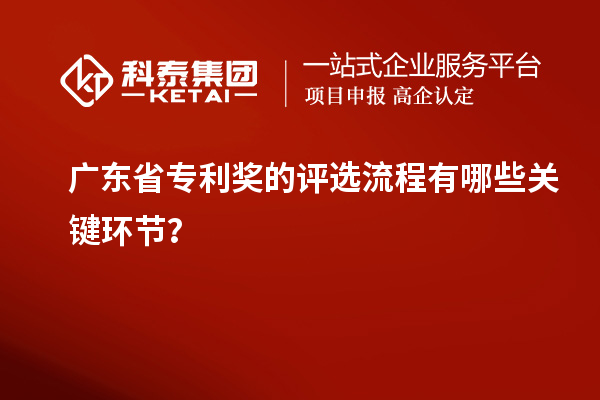 广东省专利奖的评选流程有哪些关键环节？