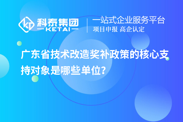 广东省技术改造奖补政策的核心支持对象是哪些单位？