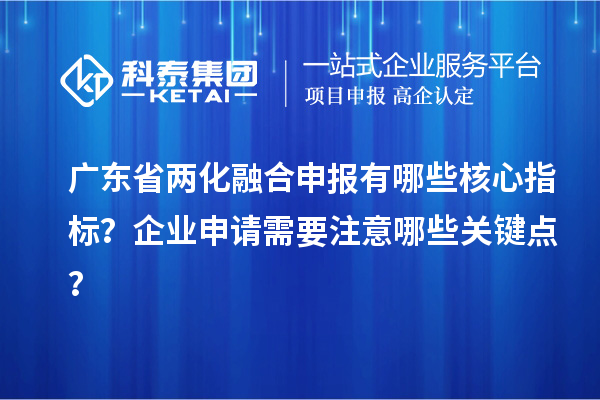 广东省两化融合申报有哪些核心指标？企业申请需要注意哪些关键点？