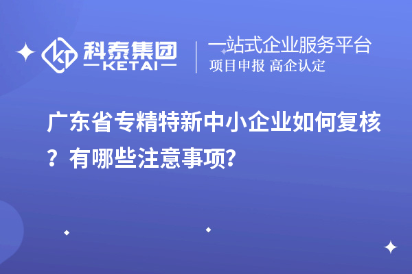 广东省专精特新中小企业如何复核？有哪些注意事项？