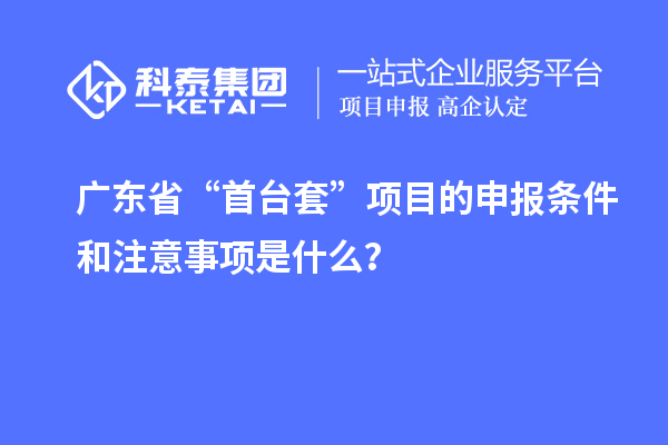 广东省“首台套”项目的申报条件和注意事项是什么？