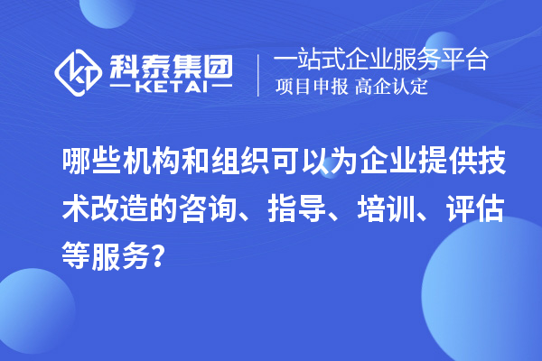 哪些机构和组织可以为企业提供技术改造的咨询、指导、培训、评估等服务？