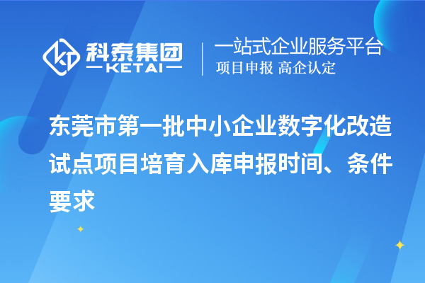 东莞市第一批中小企业数字化改造试点项目培育入库申报时间、条件要求