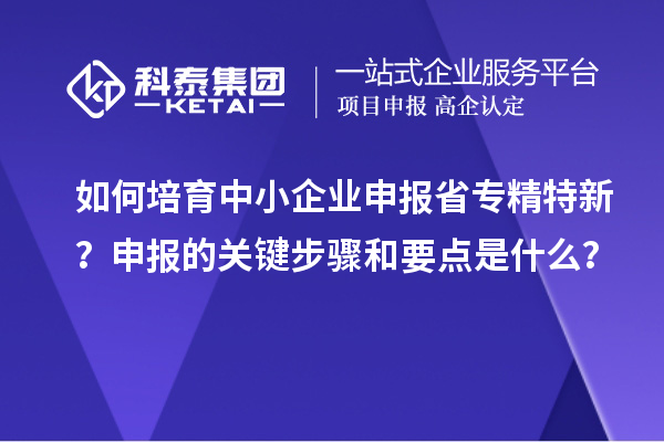 如何培育中小企业申报省专精特新？申报的关键步骤和要点是什么？