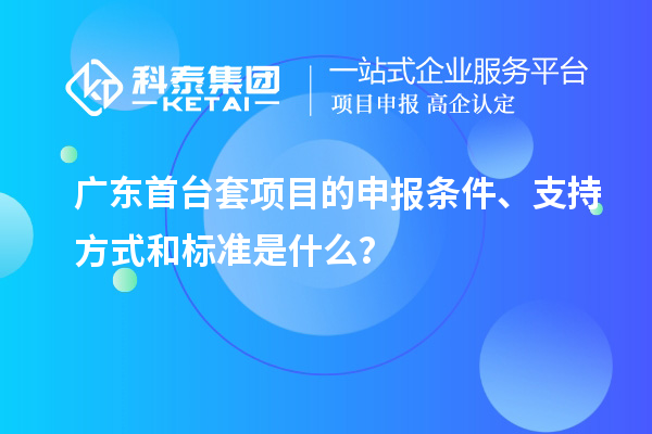 广东首台套项目的申报条件、支持方式和标准是什么？