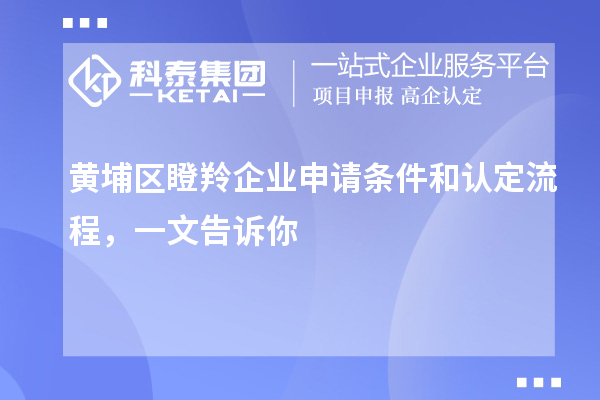 黄埔区瞪羚企业申请条件和认定流程，一文告诉你