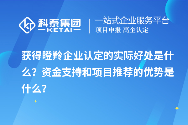 获得瞪羚企业认定的实际好处是什么？资金支持和项目推荐的优势是什么？