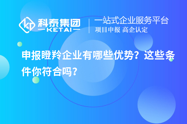 申报瞪羚企业有哪些优势？这些条件你符合吗？
