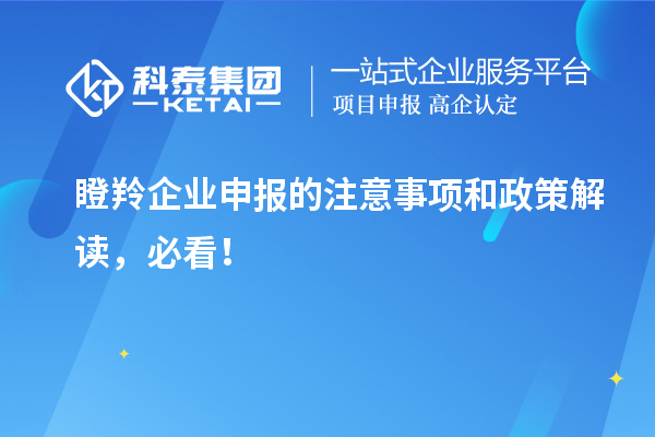 瞪羚企业申报的注意事项和政策解读，必看！