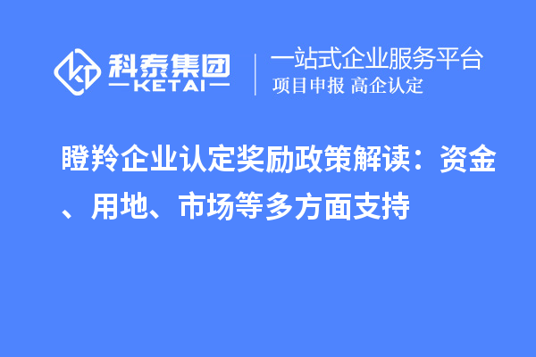 瞪羚企业认定奖励政策解读：资金、用地、市场等多方面支持