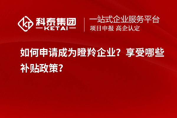 如何申请成为瞪羚企业？享受哪些补贴政策？