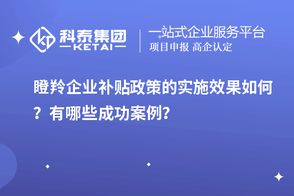 瞪羚企业补贴政策的实施效果如何？有哪些成功案例？