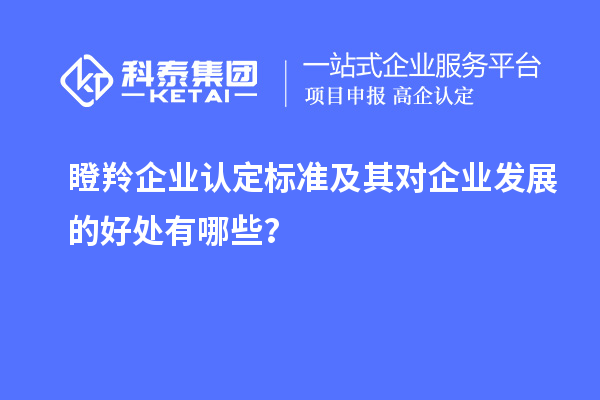 瞪羚企业认定标准及其对企业发展的好处有哪些？
