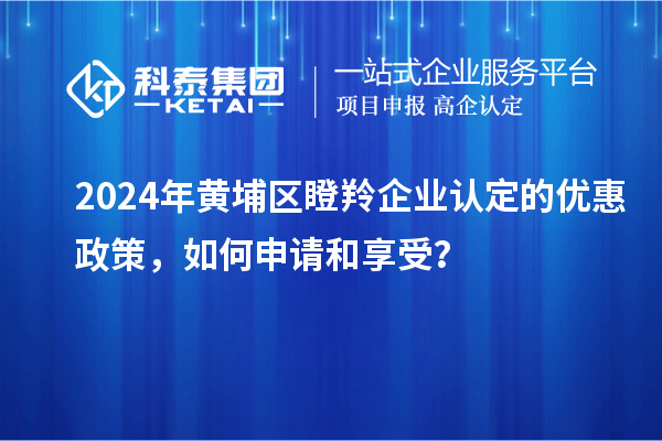 2024年黄埔区瞪羚企业认定的优惠政策，如何申请和享受？