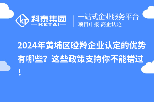 2024年黄埔区瞪羚企业认定的优势有哪些？这些政策支持你不能错过！