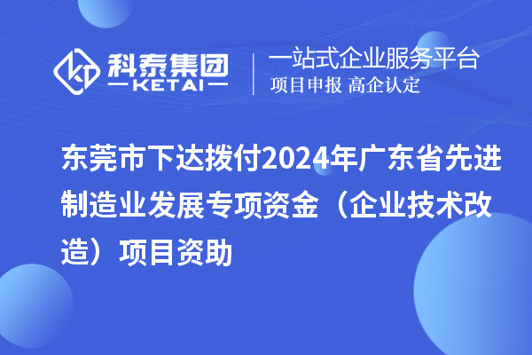 东莞市下达拨付2024年广东省先进制造业发展专项资金(企业技术改造)项目资助