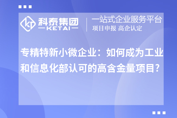 专精特新小微企业:如何成为工业和信息化部认可的高含金量项目?