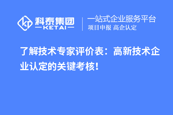 了解技术专家评价表：高新技术企业认定的关键考核！