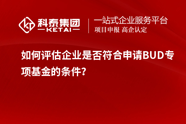 如何评估企业是否符合申请BUD专项基金的条件？