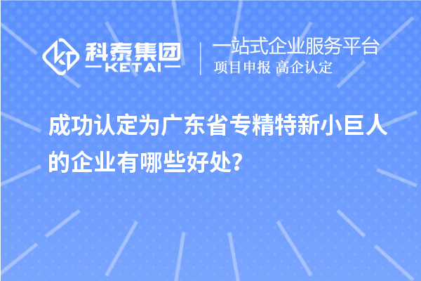 成功认定为广东省专精特新小巨人的企业有哪些好处?