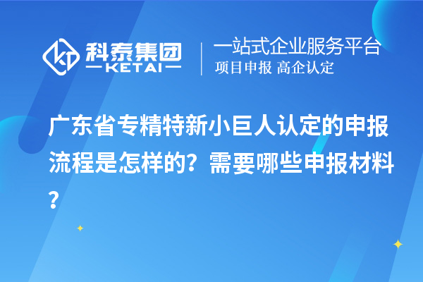 广东省专精特新小巨人认定的申报流程是怎样的？需要哪些申报材料？
