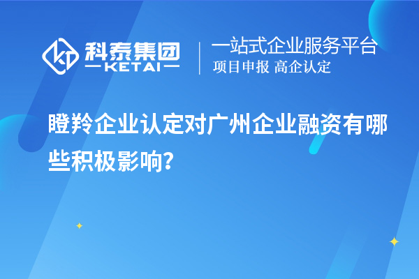 瞪羚企业认定对广州企业融资有哪些积极影响？