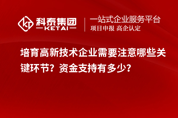 培育高新技术企业需要注意哪些关键环节？资金支持有多少？
