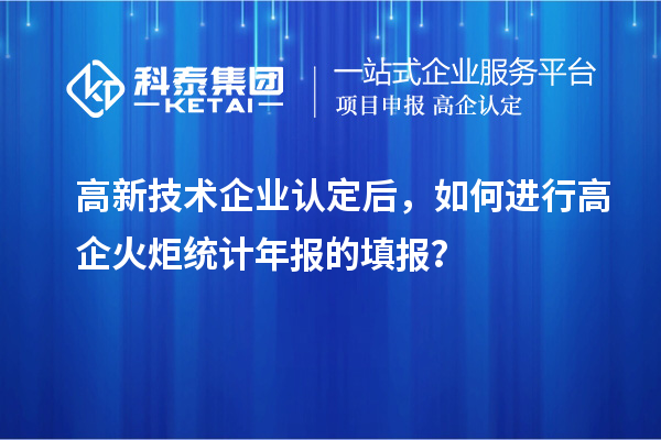 高新技术企业认定后，如何进行高企火炬统计年报的填报？