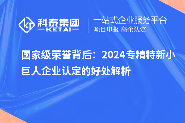 国家级荣誉背后:2024专精特新小巨人企业认定的好处解析