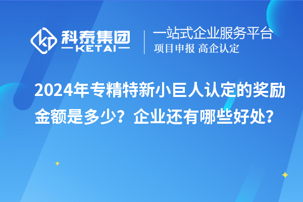 2024年专精特新小巨人认定的奖励金额是多少？企业还有哪些好处？