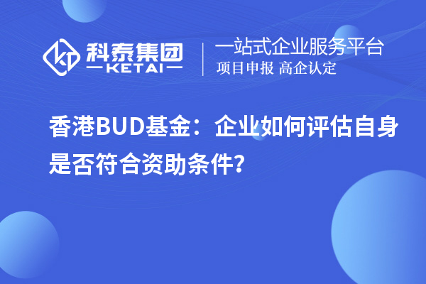 香港BUD基金：企业如何评估自身是否符合资助条件？